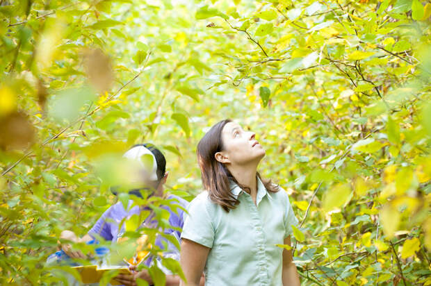 Posy Busby in a cottonwood garden in Corvallis, Oregon.