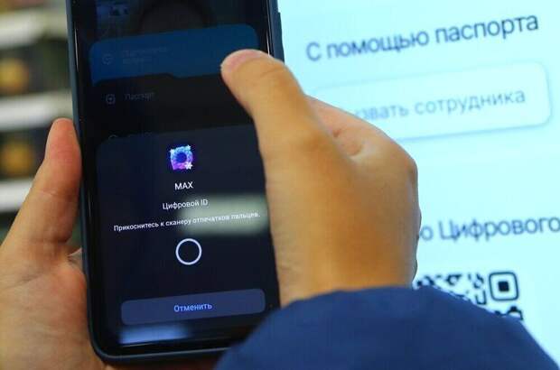 Депутаты предложили запретить продажу аккаунтов в МАХ