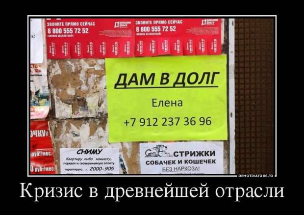 Подборка демотиваторов демотиватор, юмор