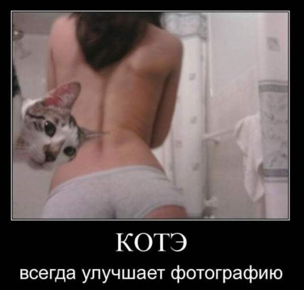 Демотиваторы с приколами, развеселят кого угодно.