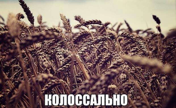 На случай важных переговоров...