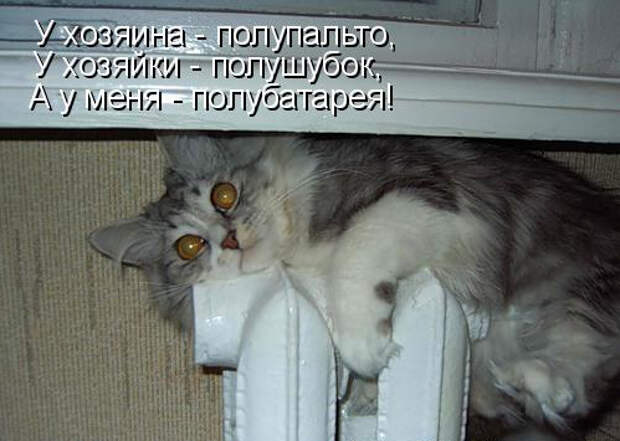 4 (500x355, 151Kb)