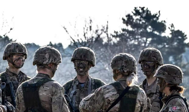 Дания всерьёз готовилась отразить вторжение и захват американцами Гренландии