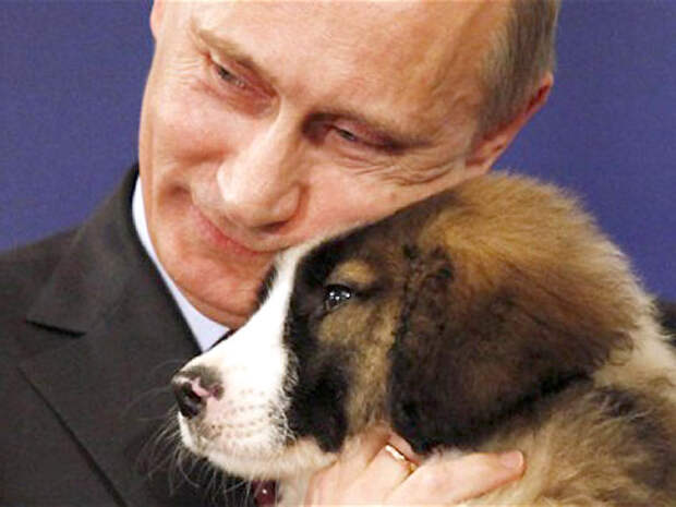 Президент России и его собаки  новый год, президент, семья