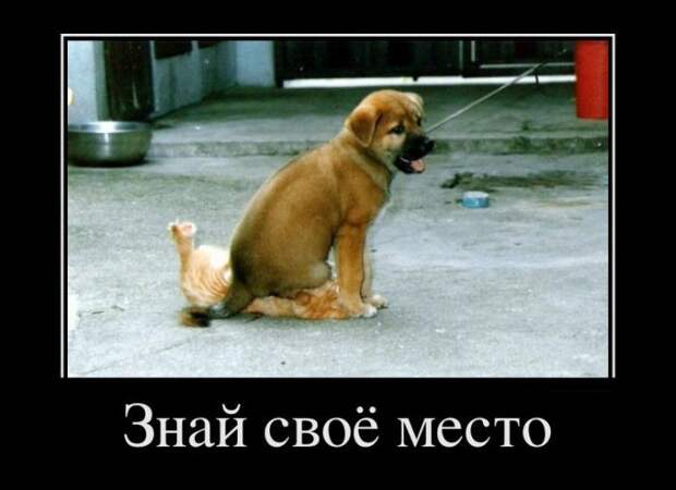 Демотиваторы (32 фото)