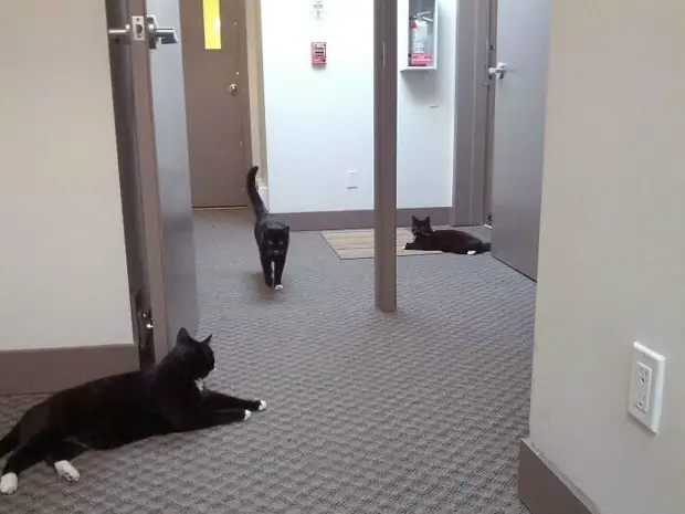 ���� � ������� ��� �������� ���������� � ���� ��������