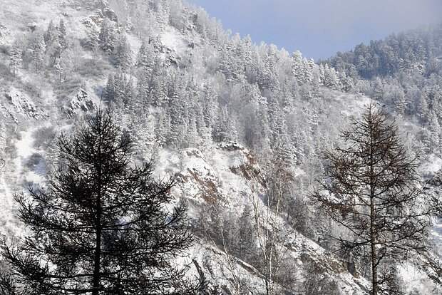 В деле бесследно пропавшей в тайге российской семьи приняли неожиданное решение