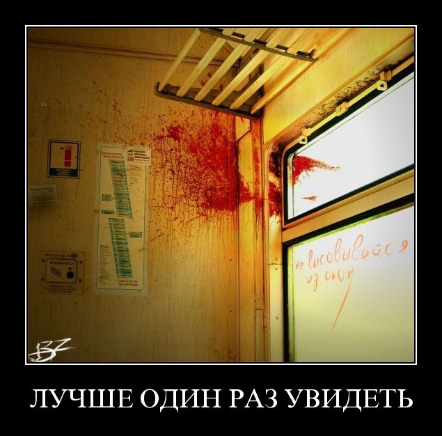 Демотиваторы (50 фото)