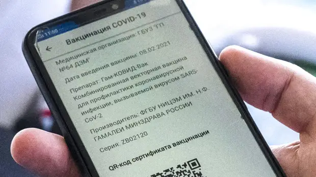 Комитет Совфеда поддержал концепцию законопроекта о системе QR-кодов