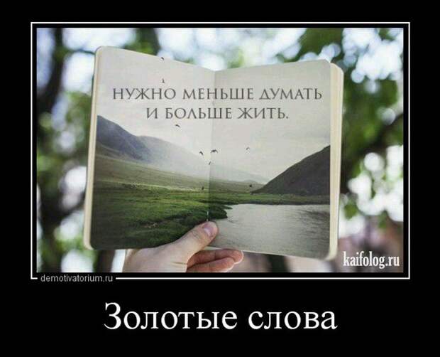 Смешные демы - 264 (50 картинок)