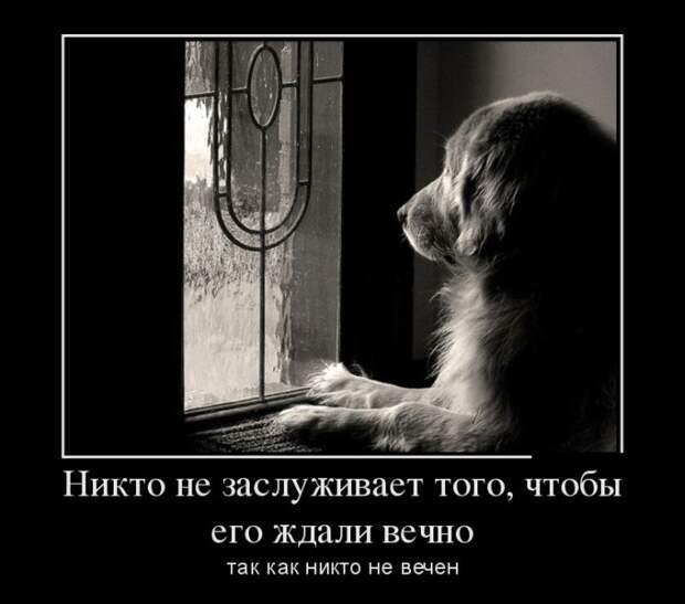 Демотиваторы (30 фото) Демотиваторы (30 фото)