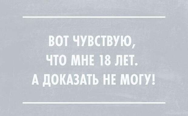 открытки с отборным юмором (8)