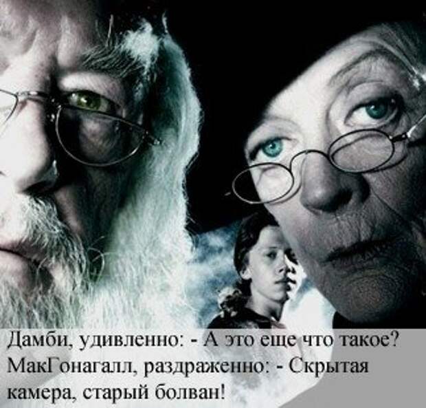 Гарри Поттер и компания: самые забавные фотожабы