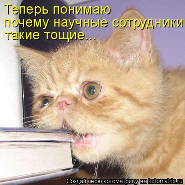 Мысли вслух :)