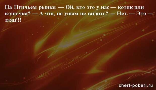 Самые смешные анекдоты ежедневная подборка chert-poberi-anekdoty-chert-poberi-anekdoty-42480217102020-17 картинка chert-poberi-anekdoty-42480217102020-17