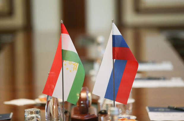 Соглашение с Таджикистаном о медосмотре мигрантов внесли на ратификацию в Госдуму