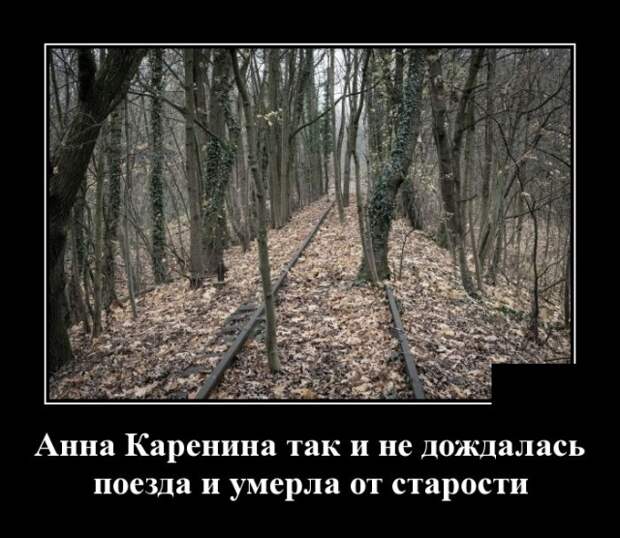 Демотиваторы (30 фото)