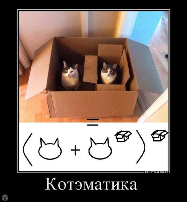 Называй вещи своими именами 9