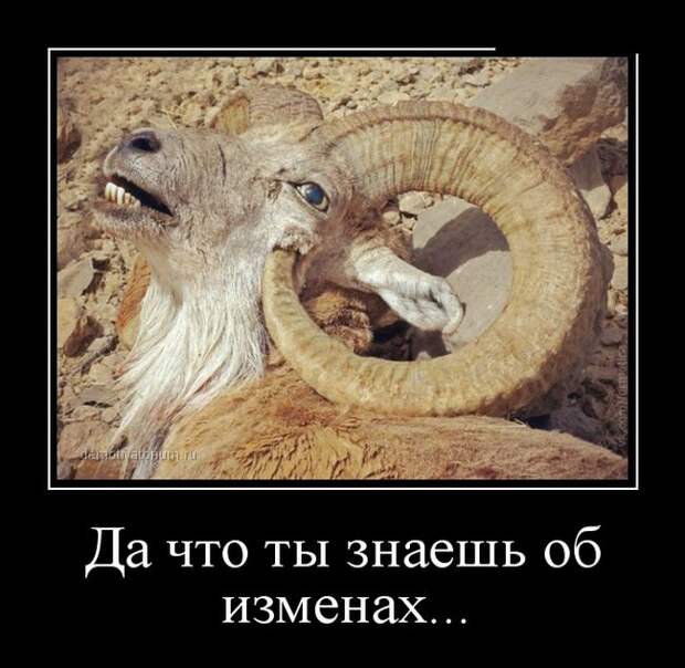 Демотиваторы (30 фото) Демотиваторы (30 фото)