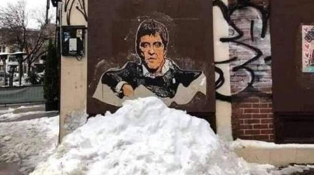 13 самых смешных картинок недели и все изображения с сусликом