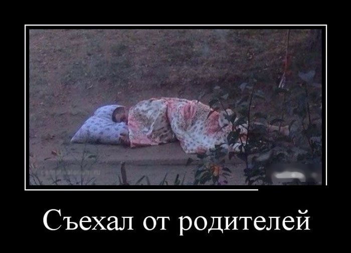 ПОДБОРКА ПРИКОЛЬНЫХ ДЕМОТИВАТОРОВ за 10.12.15 ПОДБОРКА ПРИКОЛЬНЫХ ДЕМОТИВАТОРОВ за 10.12.15