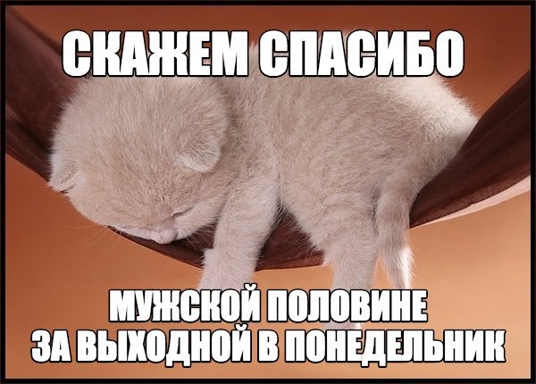 Смешные картинки с надписями прикол, юмор