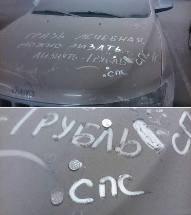Юмор каждый день