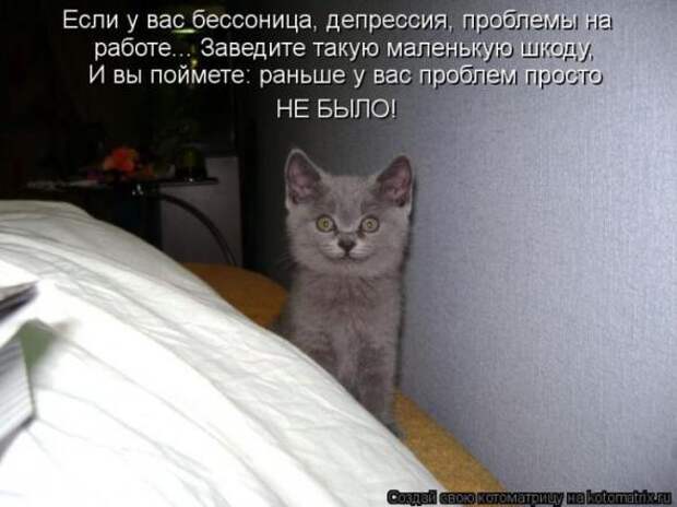 Котоматрицы