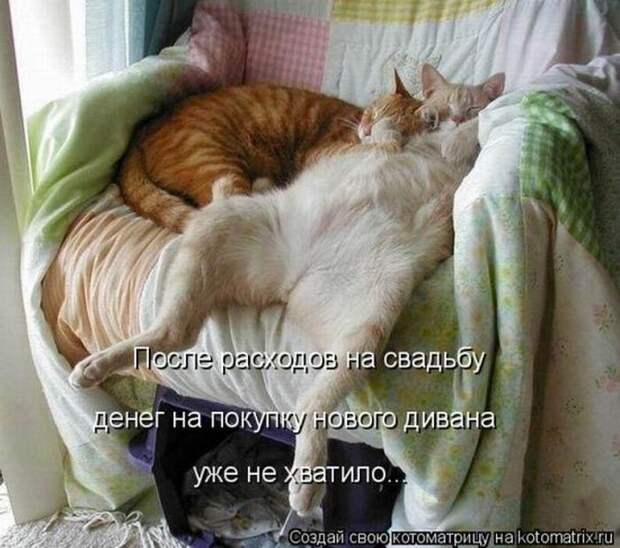 Мысли вслух :)