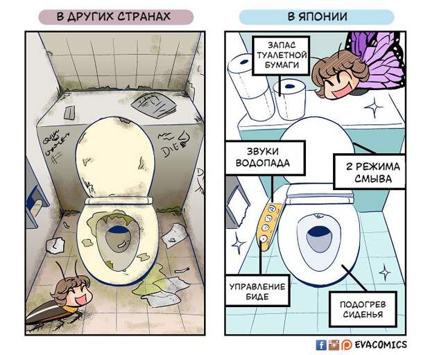 Я живу в Японии и вижу культурные различия между ней и другими странами