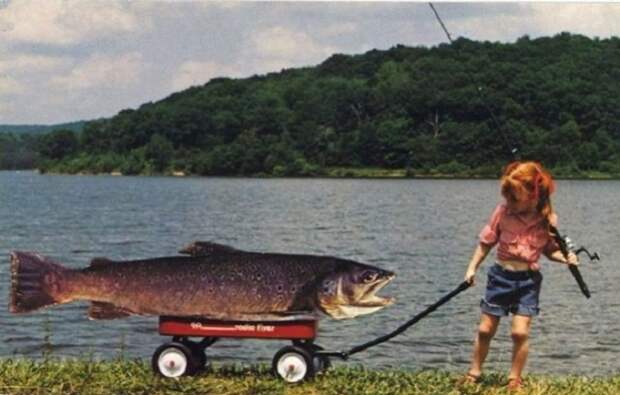 Странные открытки на тему рыбалки, как и охоты, одни из самых многочисленных и способны удивить любого.