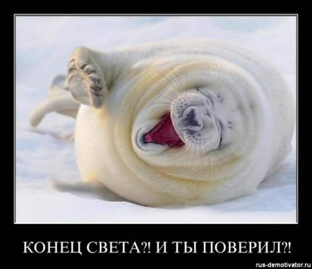 Демотиваторы с приколами, развеселят кого угодно.