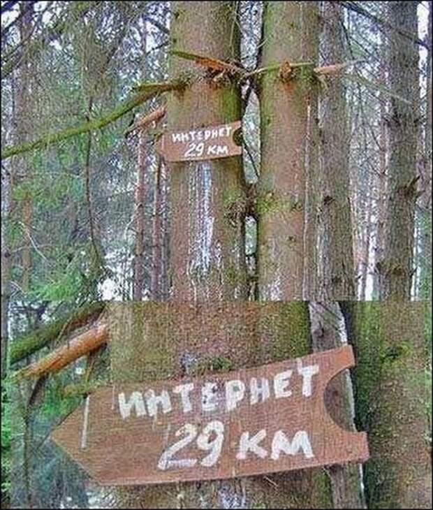 Прикольные картинки в середине недели (56 шт)