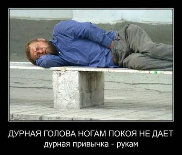 Демотиваторы, юмор дня, фотки с прикольными подписями.