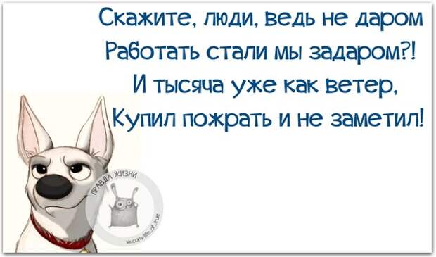 Прикольные фразки в картинках