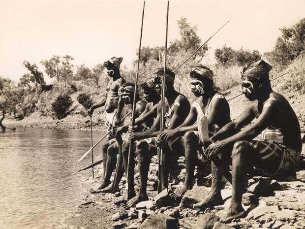 Охотники высматривают крокодилов в ожидании церемонии на реке Виктория, 1952 г. Обычаи и традиции народов мира, аборигены, австралия, архивные снимки, архивные фотографии, бушмены, познавательно, туземцы