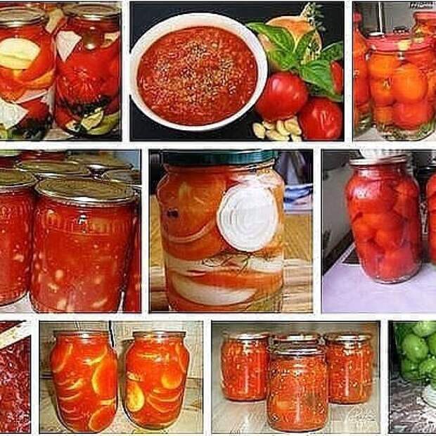 15 супер-рецептов из помидоров