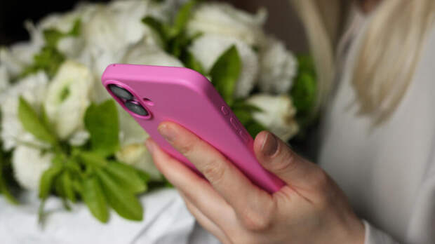 В Госдуме предупредили россиян о мошенниках накануне 8 марта