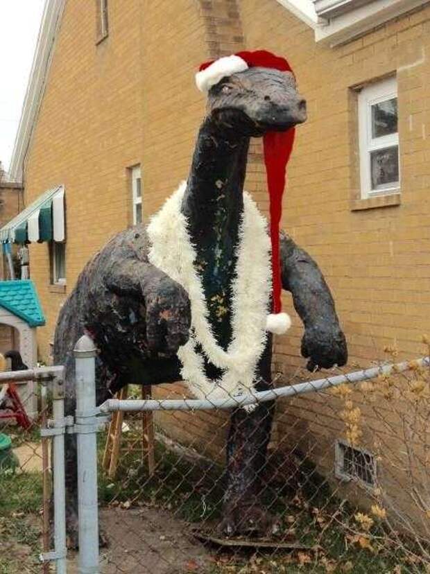 Пятничные фотоприколы