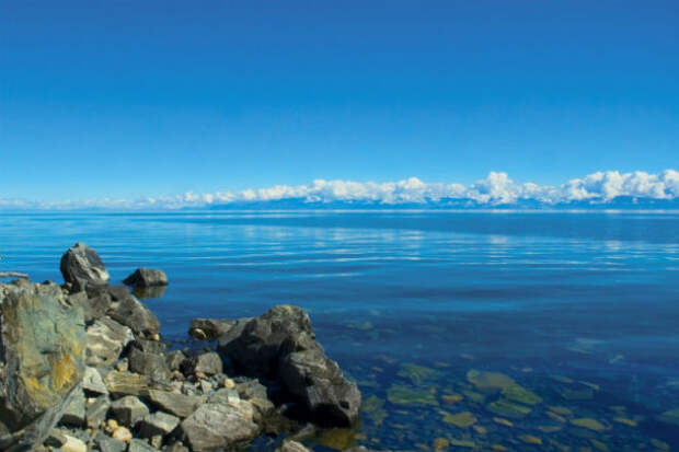 Экологи объявили об экологической катастрофе на озере Байкал