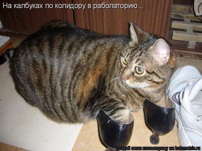 Мысли вслух :)