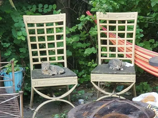 ���� � ������� ��� �������� ���������� � ���� ��������