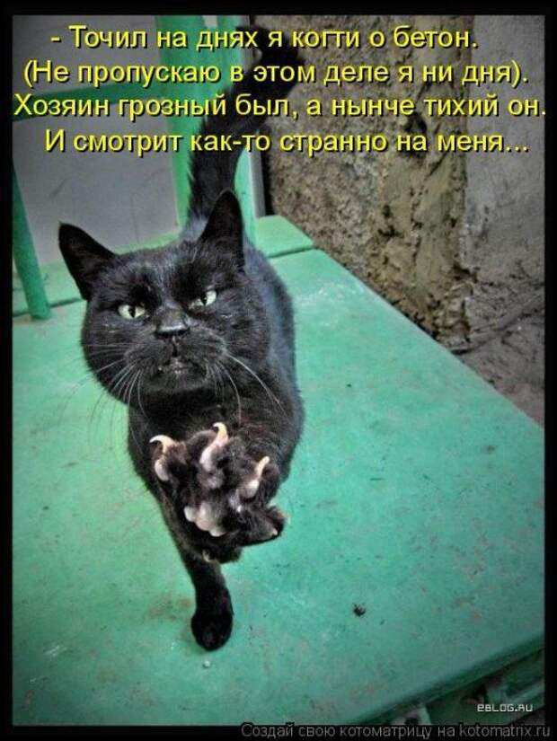 Мысли вслух :)