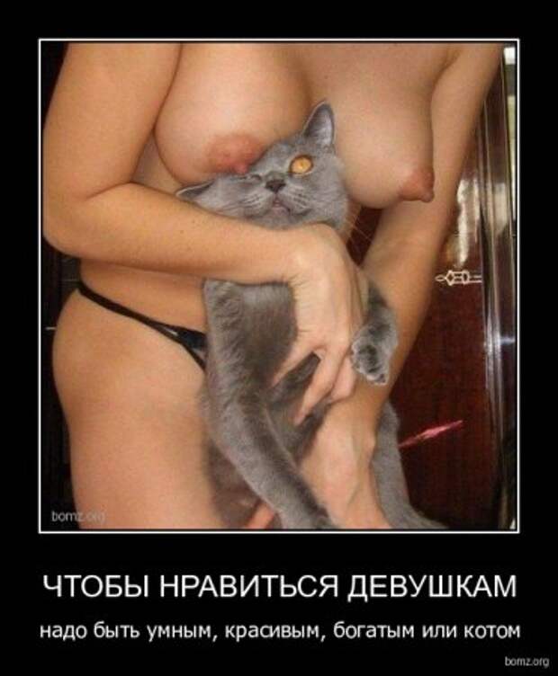 Смешные демотиваторы, классные фото.