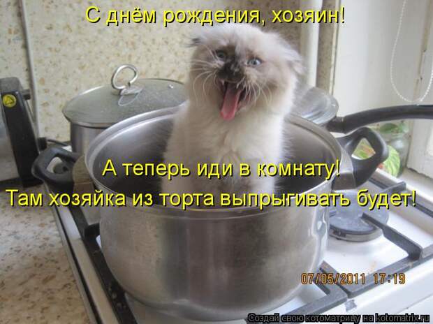 Котоматрица: С днём рождения, хозяин! А теперь иди в комнату! Там хозяйка из торта выпрыгивать будет!