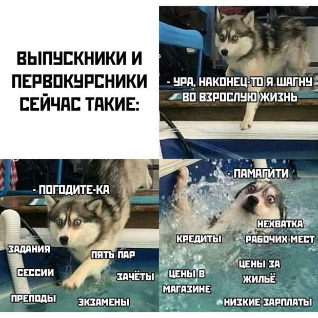 Жизнь