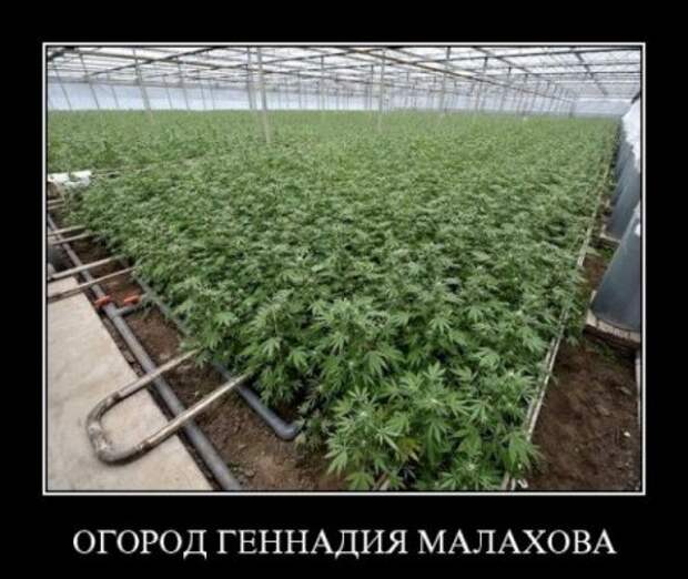 Демки порция.