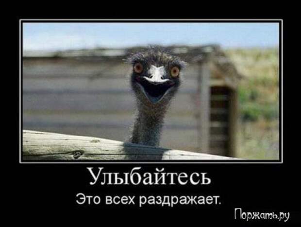 Демотив смешная подборка.