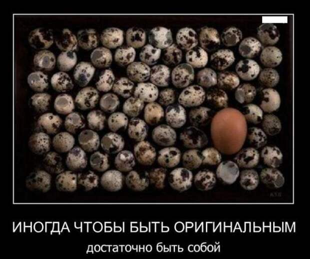 Подборка новых демотиваторов)