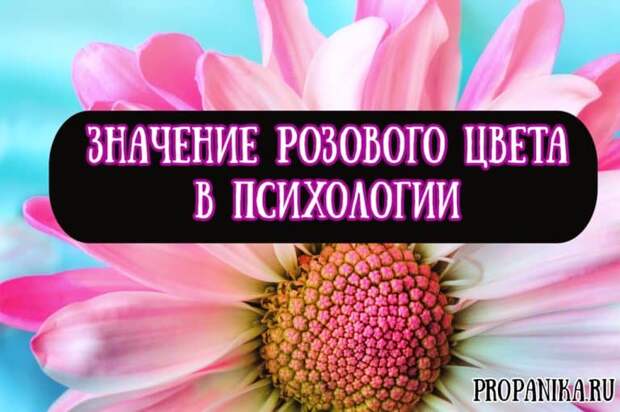 Значение розового цвета в психологии